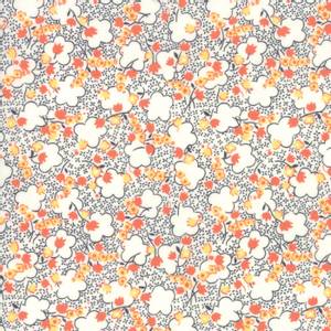 Fine and sunny - oransje og svare små blomster