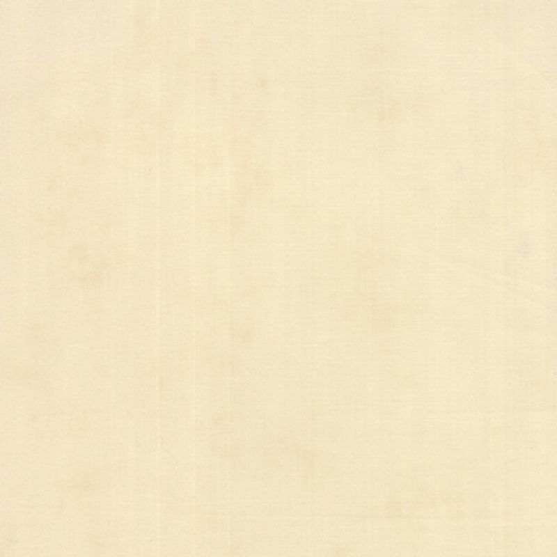 CO-Beige
