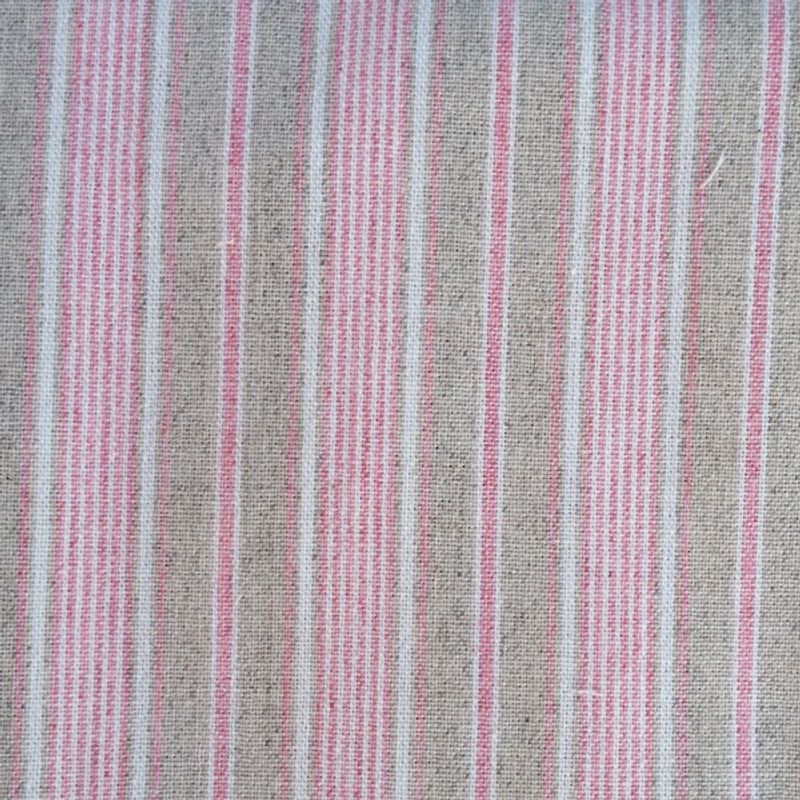 Rosa striper